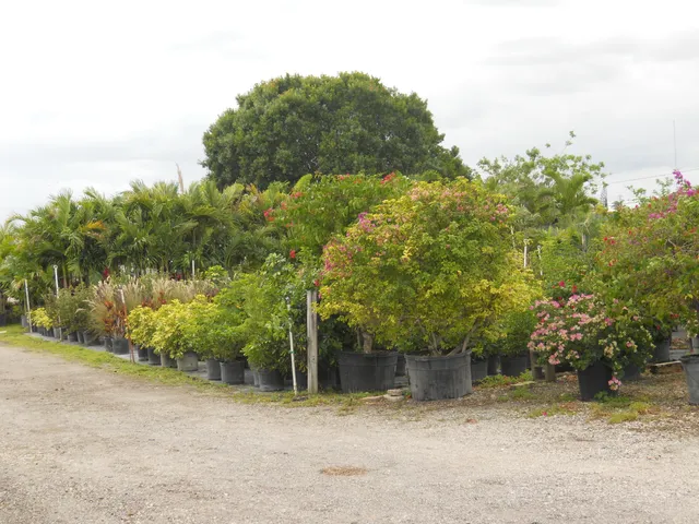 Commercial at 0000 Boynton Beach Blvd, Boynton Beach