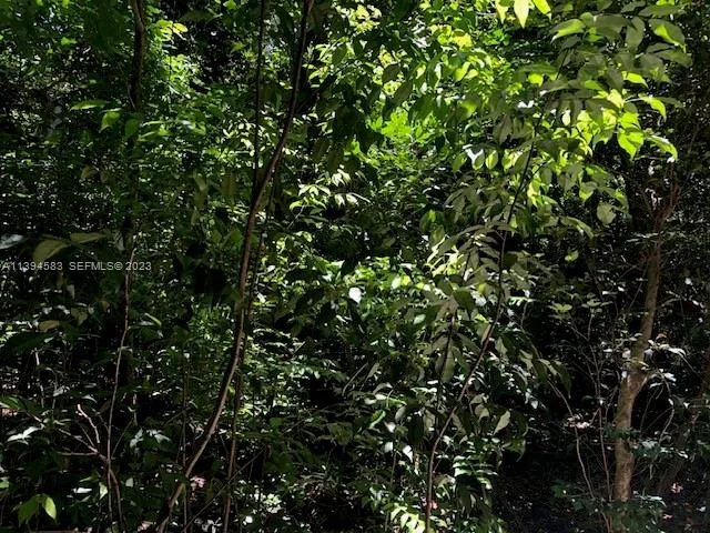 Land at 419 SE 9th Street, Hallandale Beach