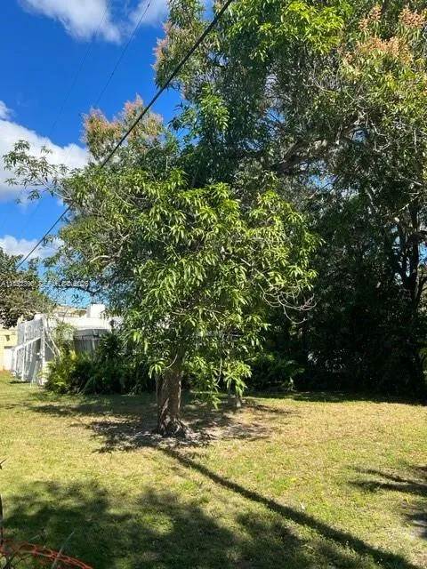Land at 821 NE 120th Street, Biscayne Park