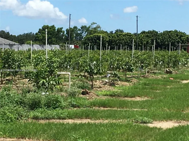 Land at 15000 SW 256 Street, Homestead