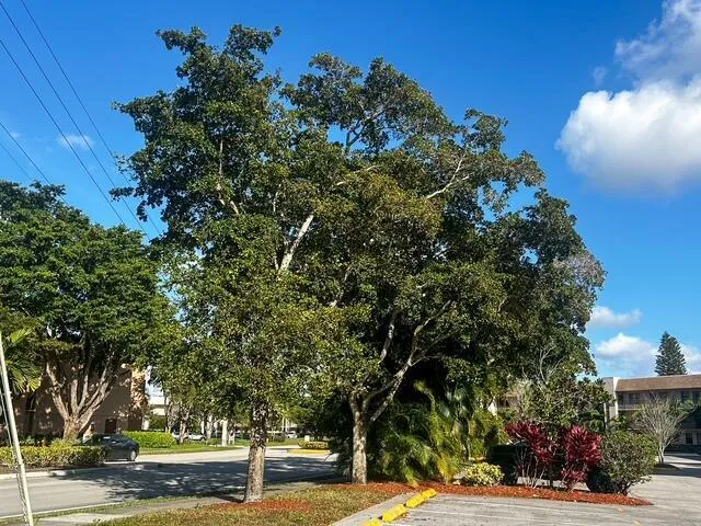 2-bedroom home at 10332 SUNRISE LAKES Boulevard #111, Sunrise