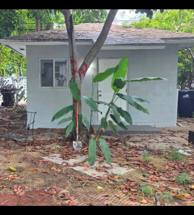 1-bedroom rental at 1243 NE 159TH Street, North Miami Beach